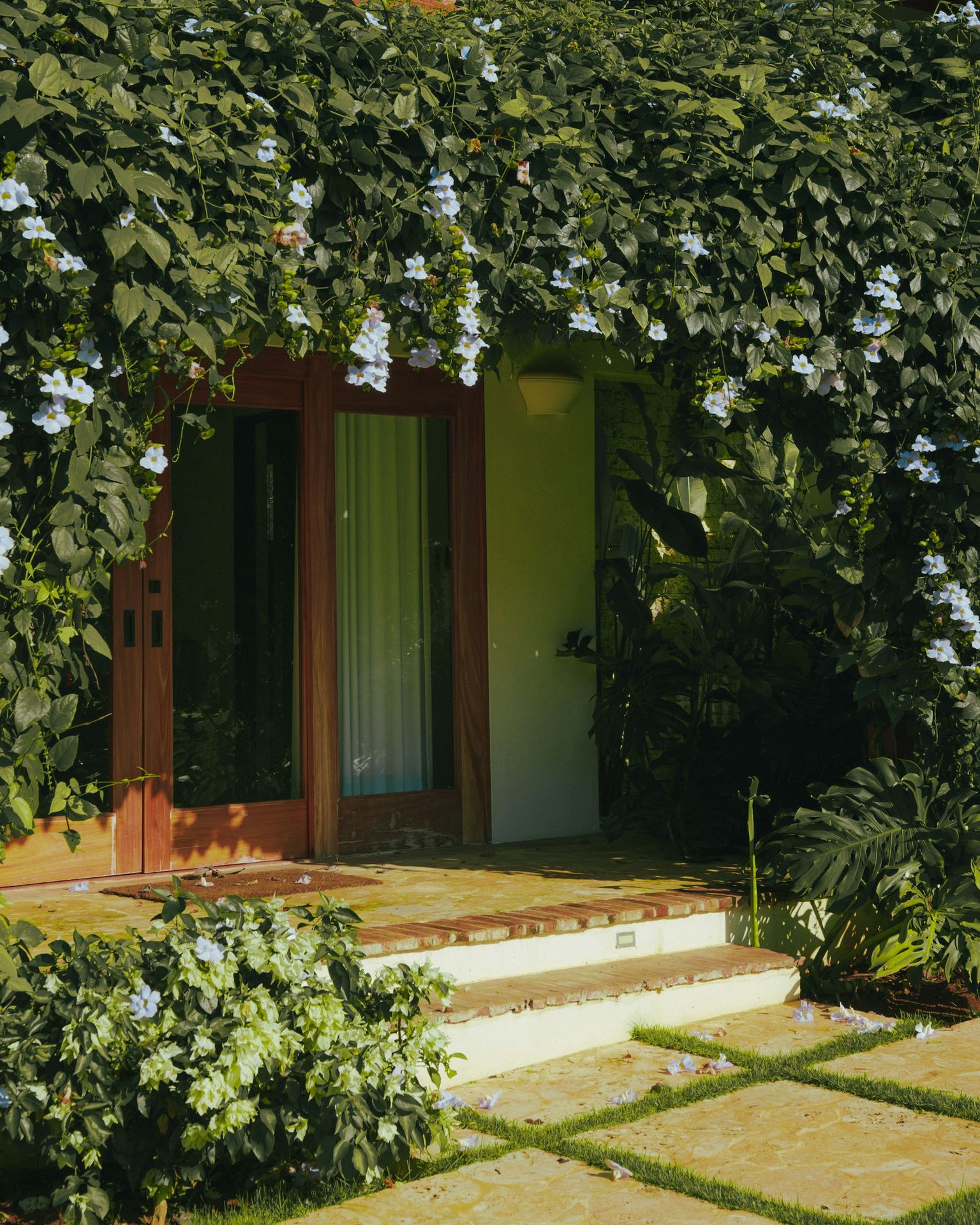 A house covered in vines with a door